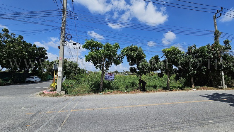 main-3