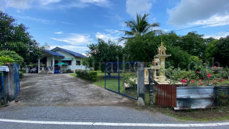main-1