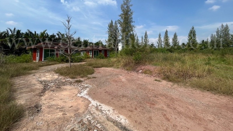 main-14