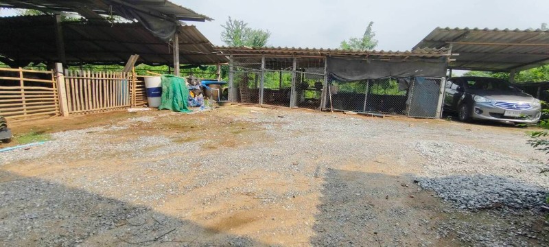 main-3