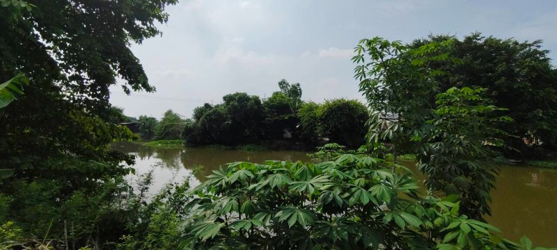 main-6