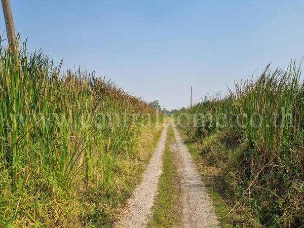 ที่ดินสวย ลาดกระบัง-สุวรรณภูมิ ถนน ร่มเกล้า 17