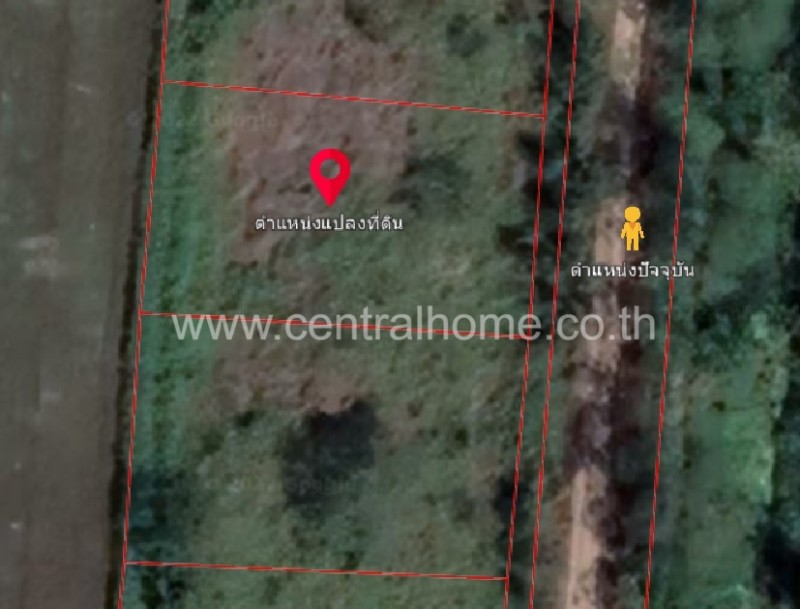 ที่ดินรังสิต คลอง9 แปลงสวย