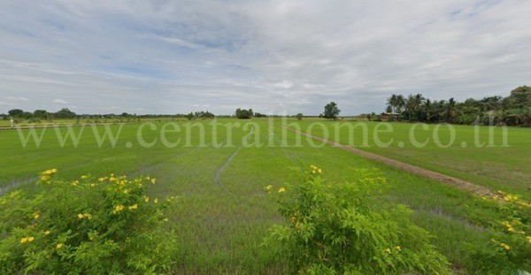 ที่ดินเปล่า 10 ไร่ ต.บ้านไร่ จ.พิษณุโลก