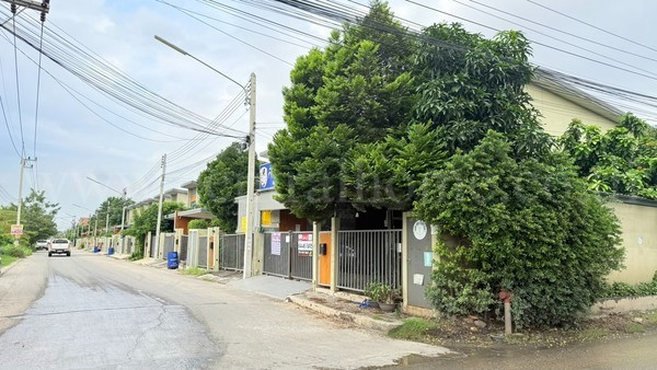 main-1