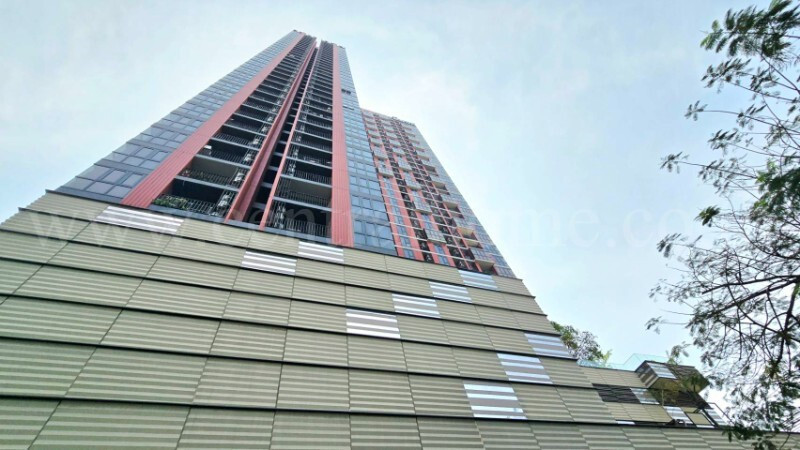 main-19