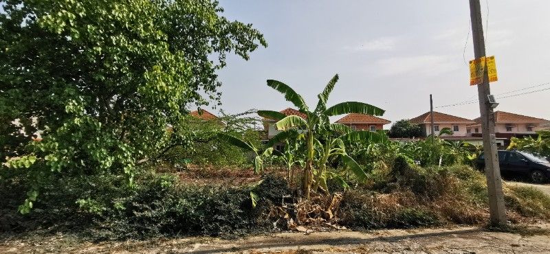 main-3