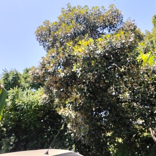 main-3
